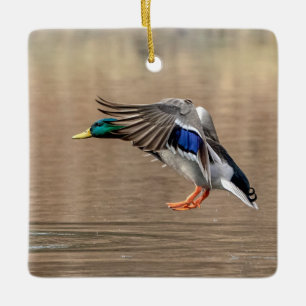 Mallard Duck im Flug Keramikornament
