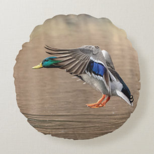Mallard Duck im Flug Rundes Kissen