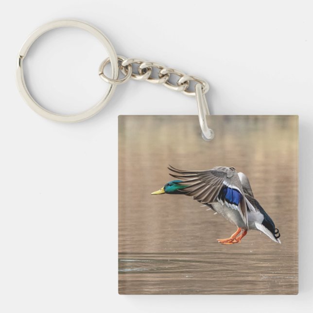 Mallard Duck im Flug Schlüsselanhänger (Vorderseite)