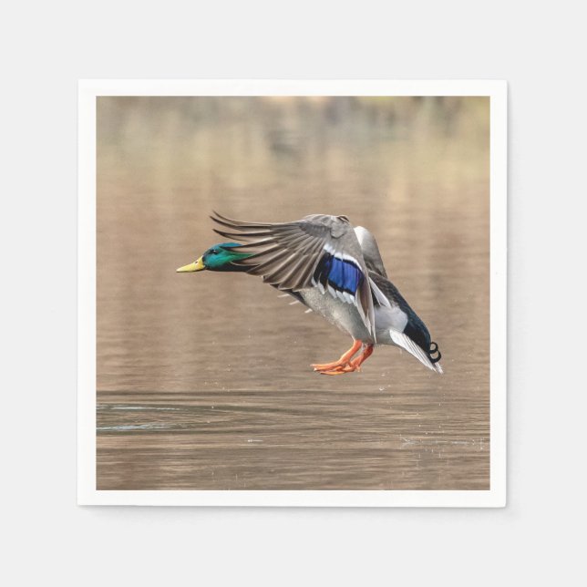 Mallard Duck im Flug Serviette (Vorderseite)