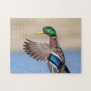 Mallard Duck im Hudson Valley Puzzle