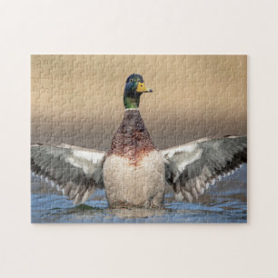 Mallard Duck im Hudson Valley Puzzle