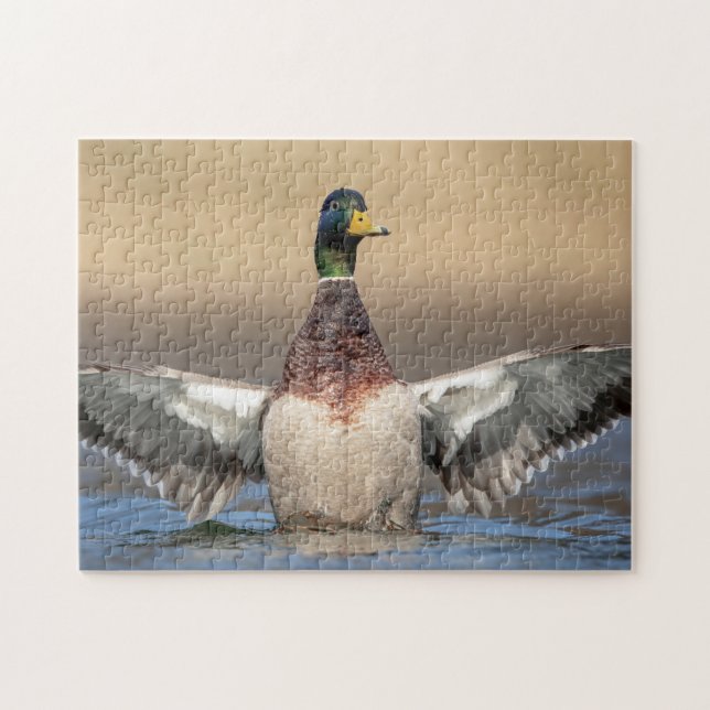 Mallard Duck im Hudson Valley Puzzle (Horizontal)
