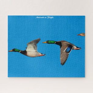 Mallard Duck in Flight Puzzle