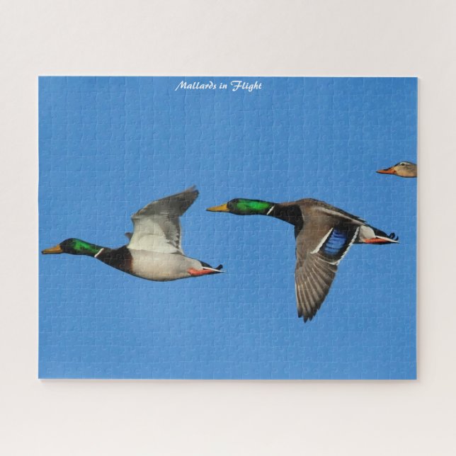 Mallard Duck in Flight Puzzle (Horizontal)