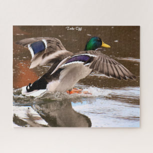 Mallard Duck in Flight Puzzle