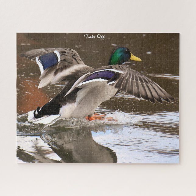 Mallard Duck in Flight Puzzle (Horizontal)