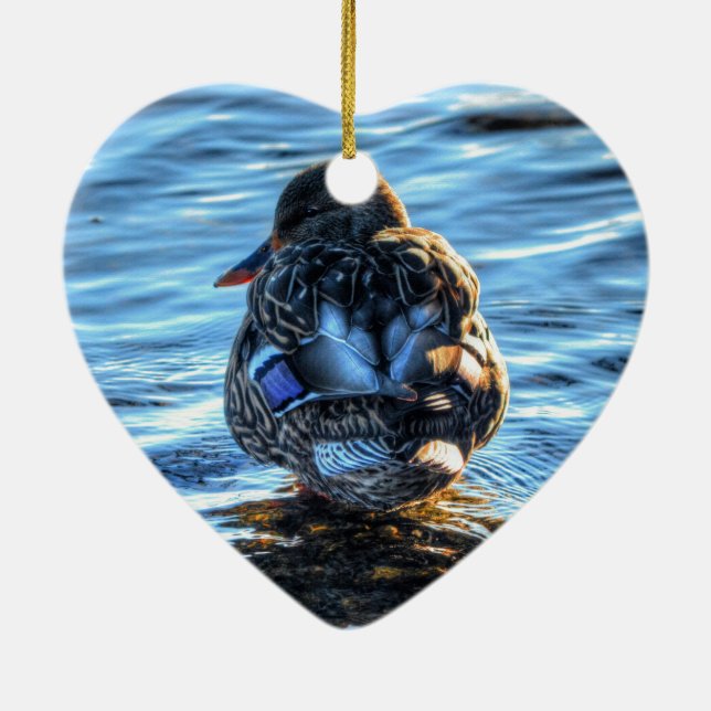 Mallard Duck in Winter River - Wildlife Foto Keramik Ornament (Hinten)