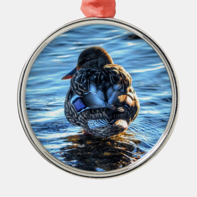 Mallard Duck in Winter River - Wildlife Foto Ornament Aus Metall (Vorne)