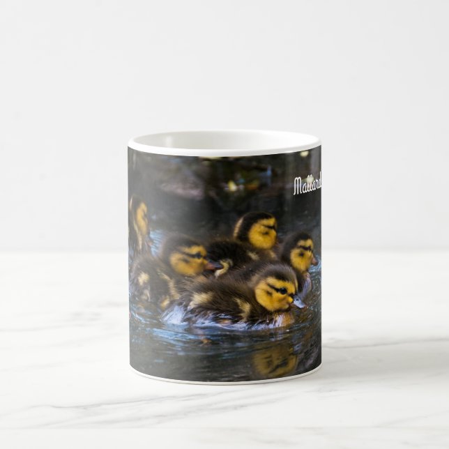 Mallard Duck Kaffeetasse (Mittel)
