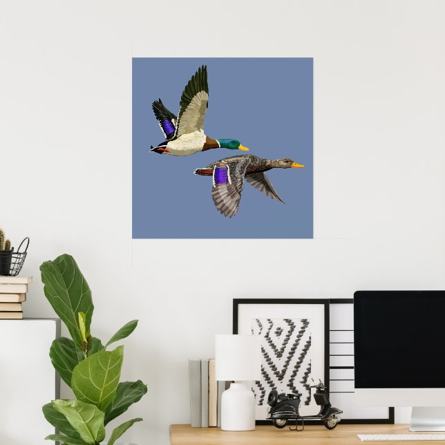 Mallard Duck Lovers Poster (Heimbüro)
