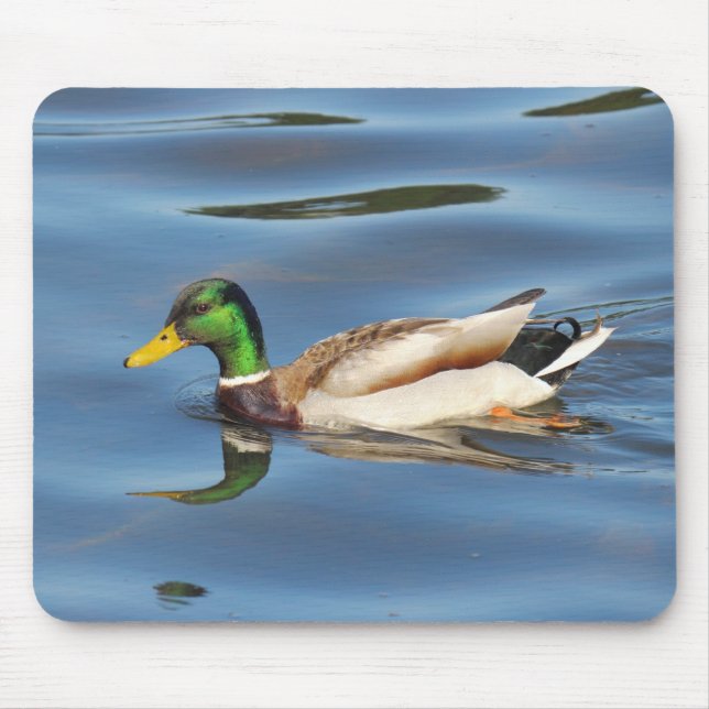 Mallard Duck Mousepad (Vorne)
