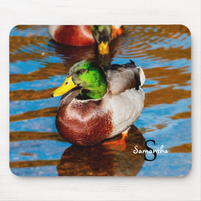 Mallard Duck Mousepad (Vorne)