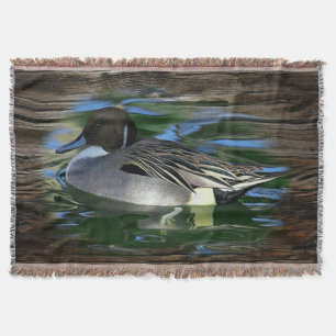 Mallard Duck on Lake Decke