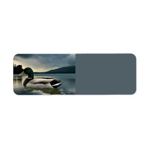 Mallard Duck on The Lake