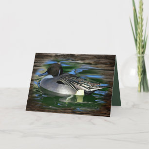 Mallard Duck on The Lake Karte