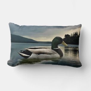 Mallard Duck on The Lake Lendenkissen