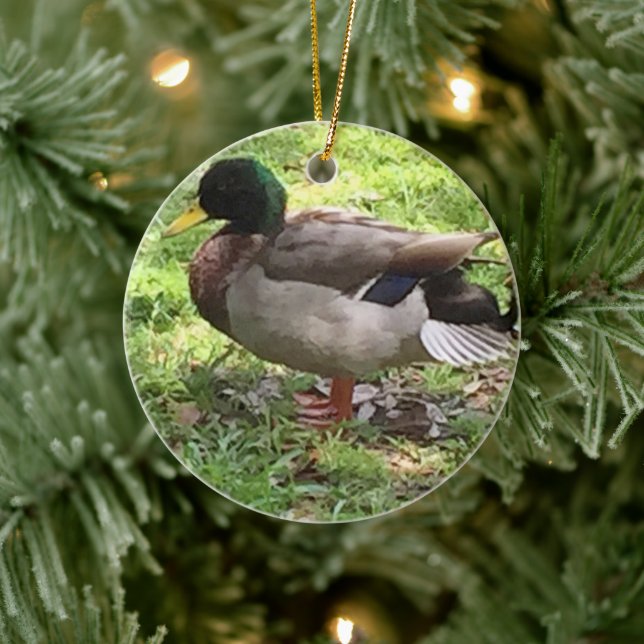 Mallard Duck Ornament (Baum)