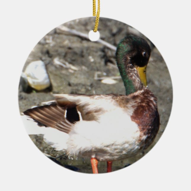 Mallard Duck Ornament (Vorne)