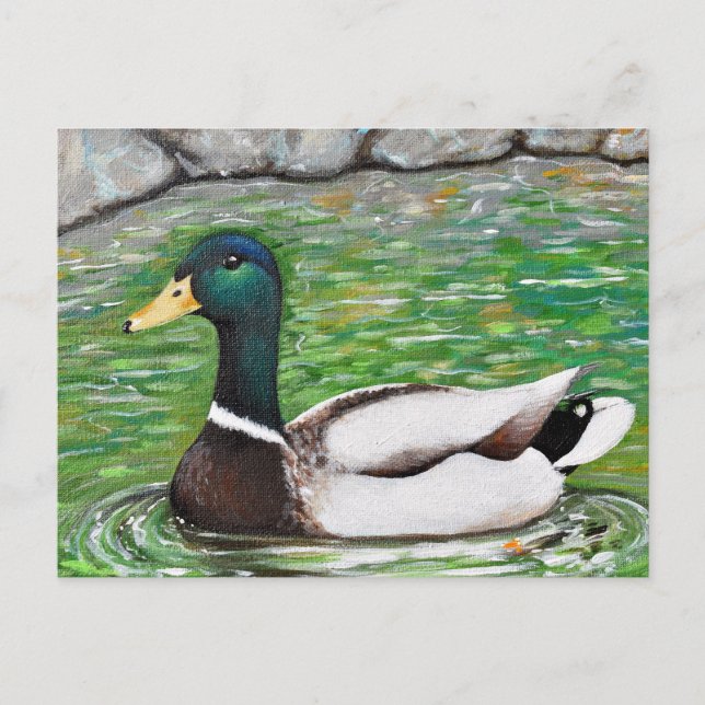 Mallard Duck Painting Postkarte (Vorderseite)