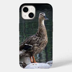 Mallard Duck Phone Case