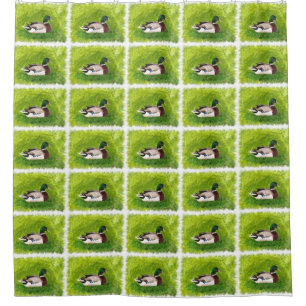 Mallard Duck Picture Painting Duschvorhänge Duschvorhang