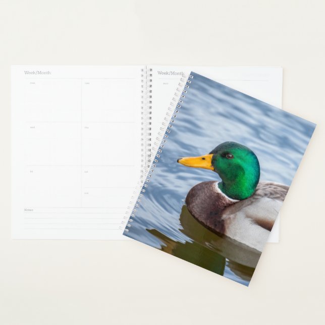 Mallard Duck Planer (Anzeige)