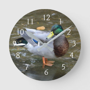 Mallard Duck Portrait Runde Wanduhr