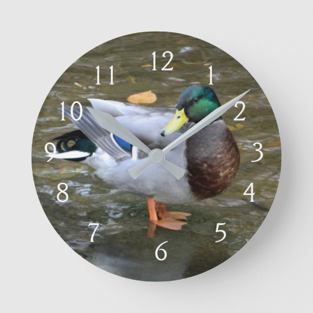 Mallard Duck Portrait Runde Wanduhr (Vorderseite)