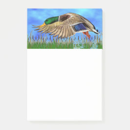 Mallard Duck Post-it Klebezettel