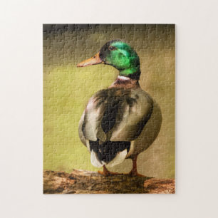 Mallard Duck Puzzle