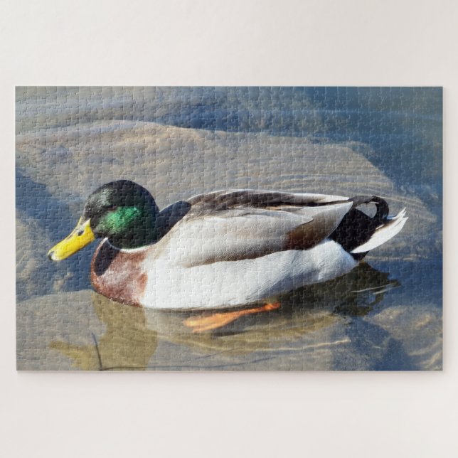 Mallard Duck Puzzle (Horizontal)