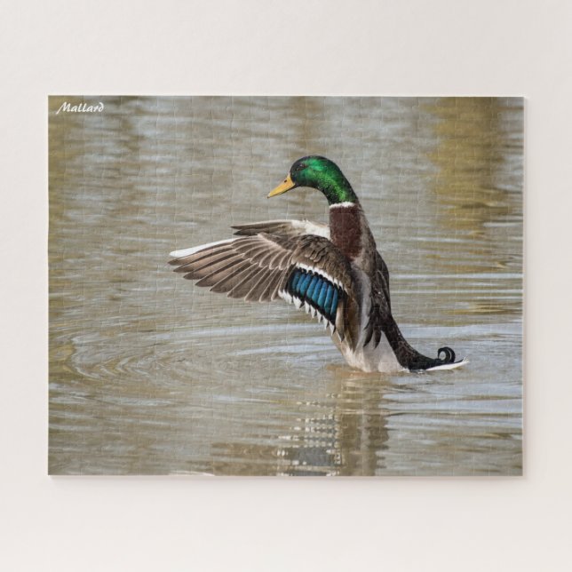 Mallard Duck Puzzle (Horizontal)