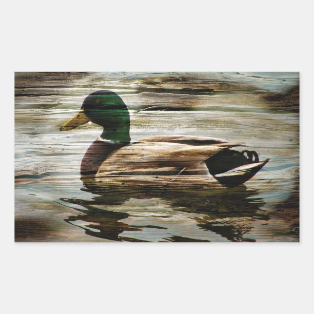 Mallard Duck Rechteckiger Aufkleber (Vorderseite)