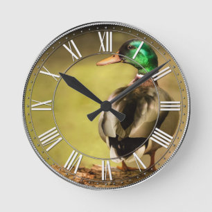 Mallard Duck Runde Wanduhr