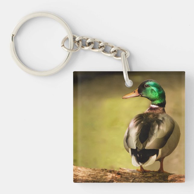 Mallard Duck Schlüsselanhänger (Vorderseite)