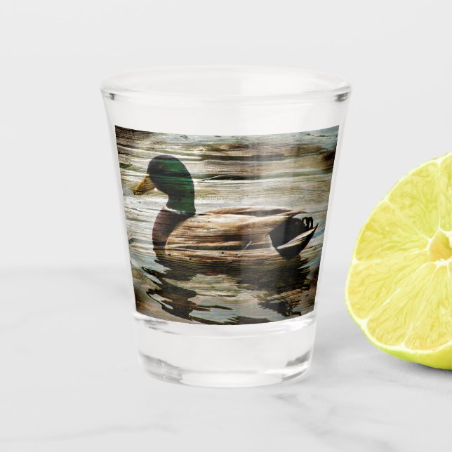Mallard Duck Schnapsglas (Vorderseite)