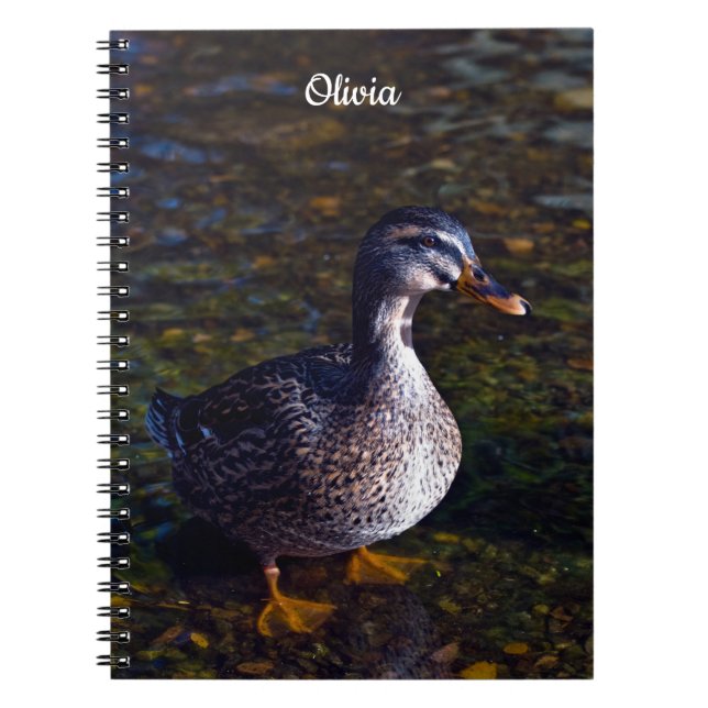 Mallard Duck Spiral Notebook Notizblock (Vorderseite)
