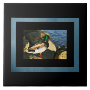 Mallard Duck Tile Fliese