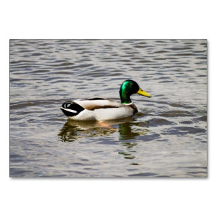 Mallard Duck Tischnummer