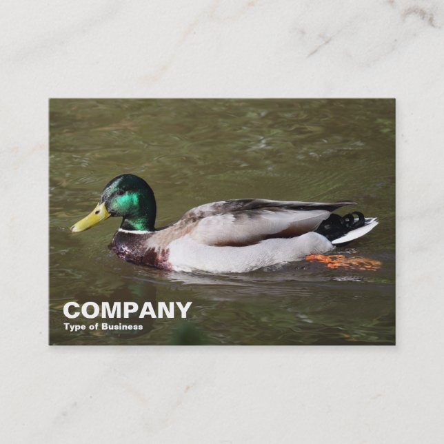 Mallard Duck Visitenkarte (Vorderseite)