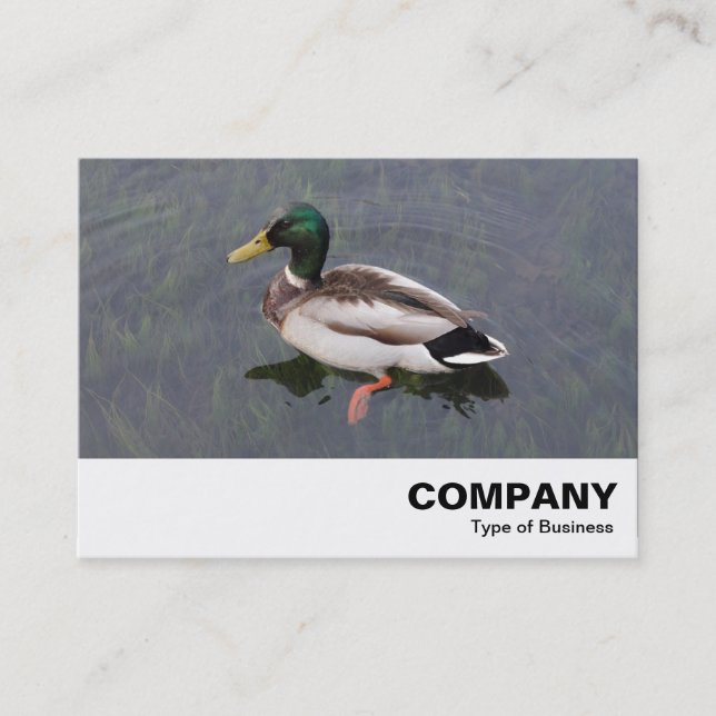 Mallard Duck Visitenkarte (Vorderseite)