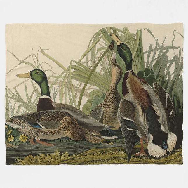 Mallard Duck von Audubon's Birds of America Fleecedecke (Vorderseite (Horizontal))