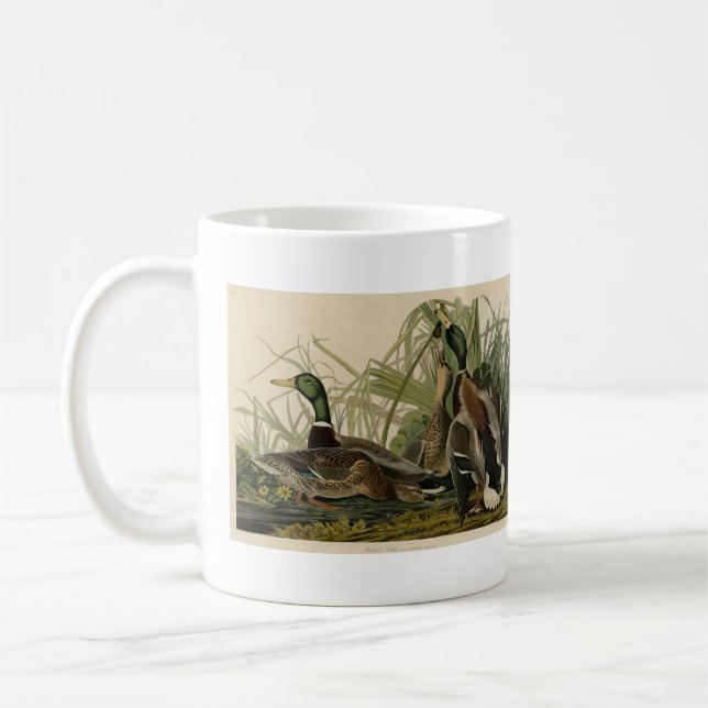 Mallard Duck von Audubon's Birds of America Kaffeetasse (Links)
