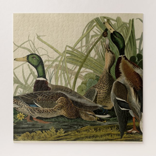 Mallard Duck von Audubon's Birds of America Puzzle (Vertikal)