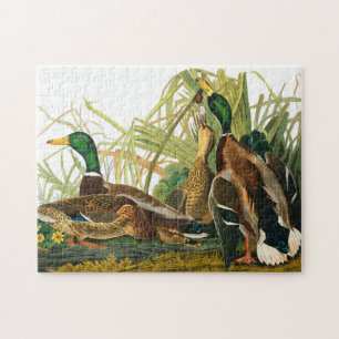 Mallard Duck von John James Audubon Puzzle