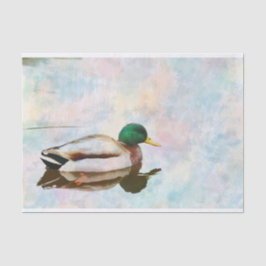 Mallard Duck Watercolor Tissue Paper Seidenpapier