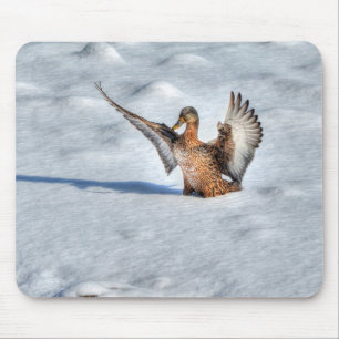 Mallard Duck Wildlife Foto für Vogelliebhaber Mousepad