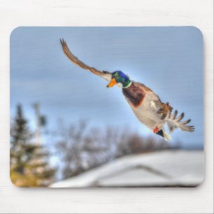 Mallard Duck Wildlife Foto für Vogelliebhaber Mousepad