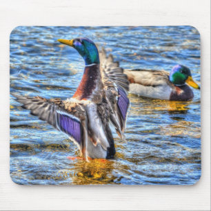 Mallard Duck Wildlife Foto für Vogelliebhaber Mousepad
